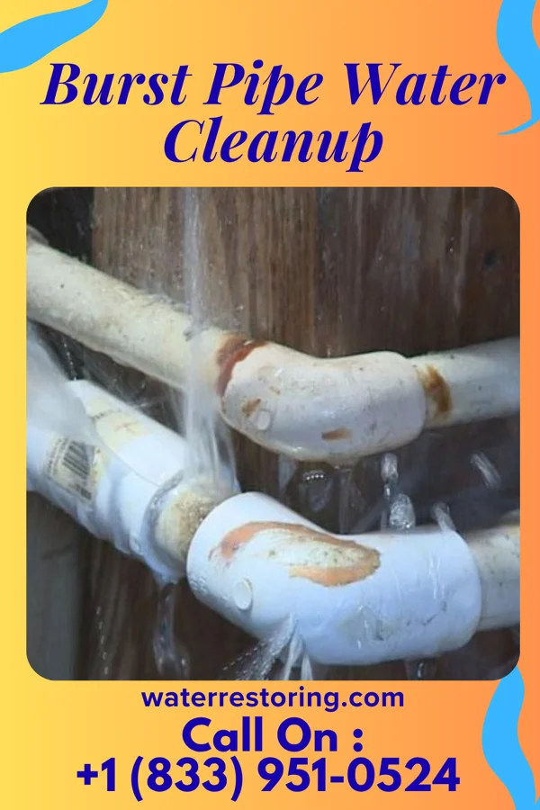 Burst Pipe Water Cleanup in Lavallette, NJ