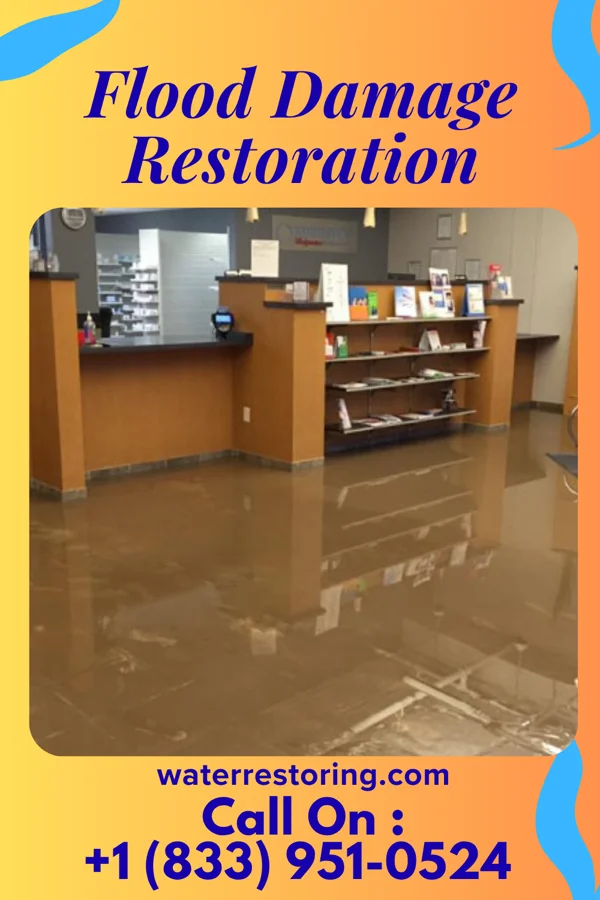 Flood Damage Restoration in Lavallette, NJ