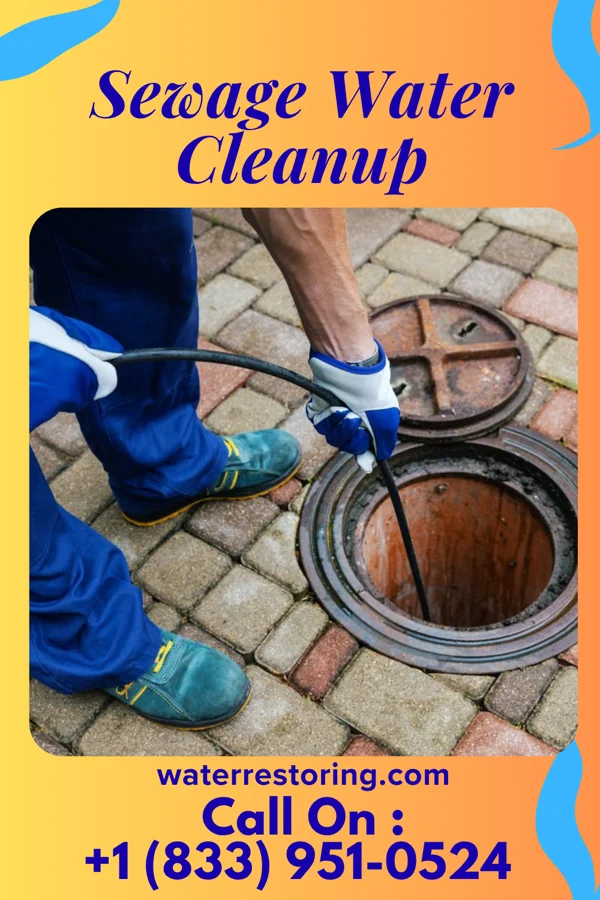 Sewage Water Cleanup in Lavallette, NJ