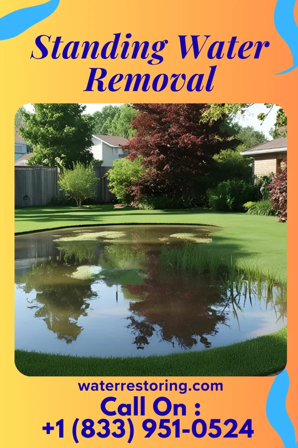 Standing Water Removal in Lavallette, NJ